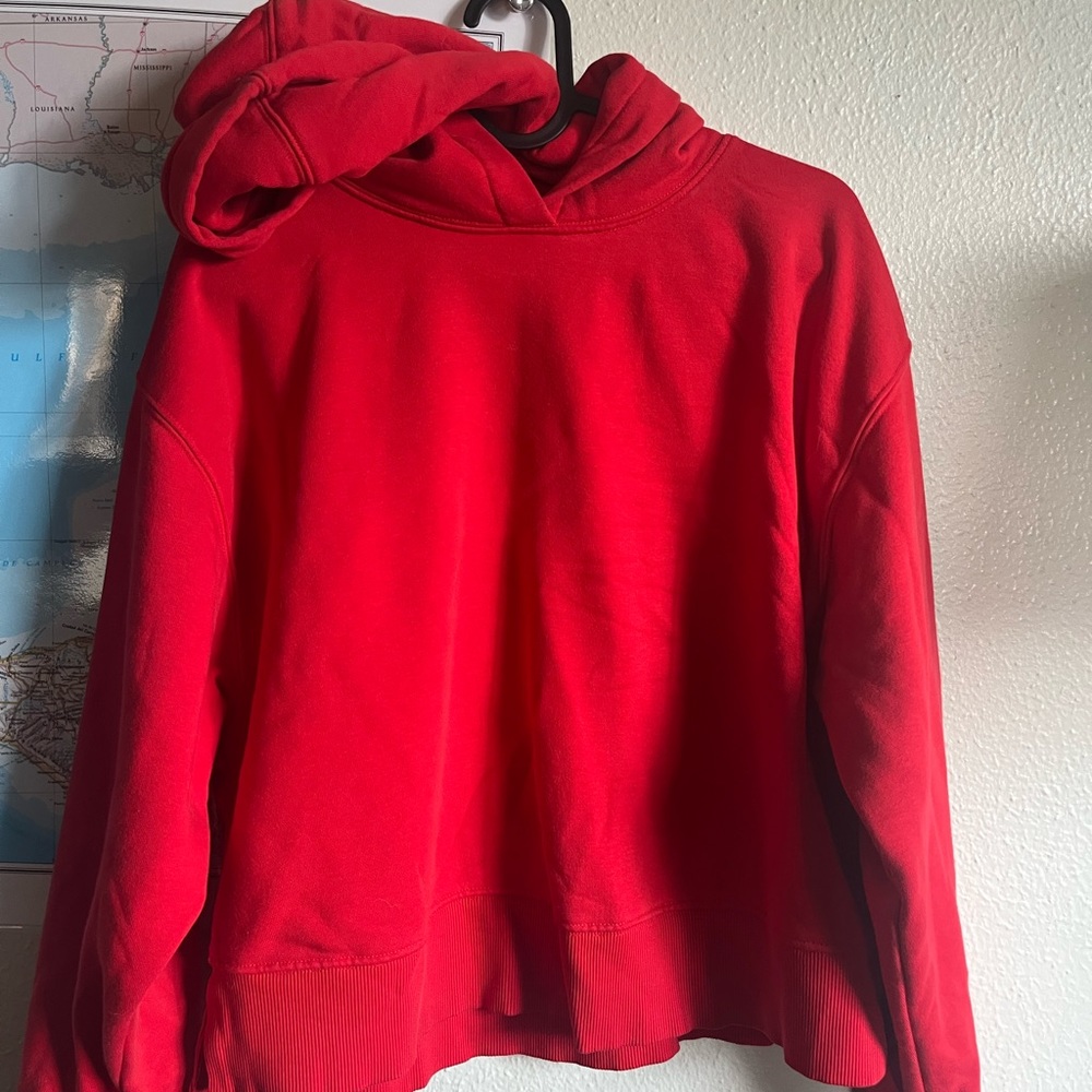 Zara cropped baggy hoodie